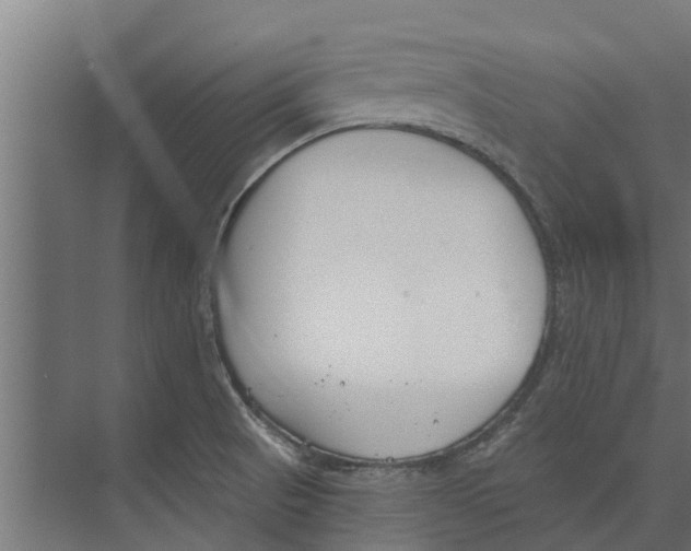 X0000073871521200609071646