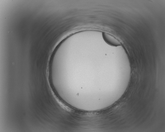 X0000073871523200609071646