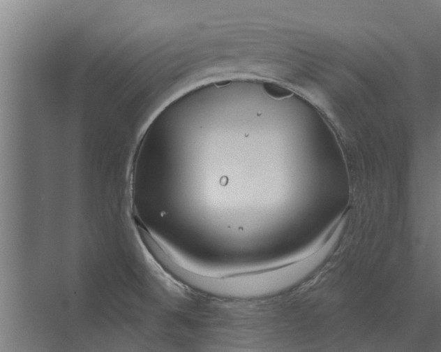 X0000073871524200609071646