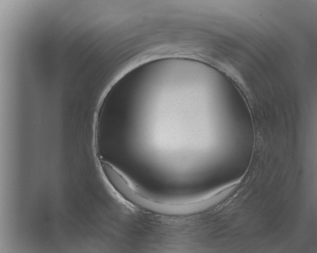 X0000073871528200609071646