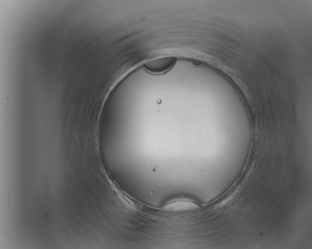 X0000073871529200609071646