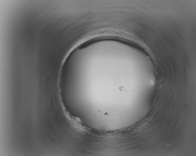 X0000073871530200609071646