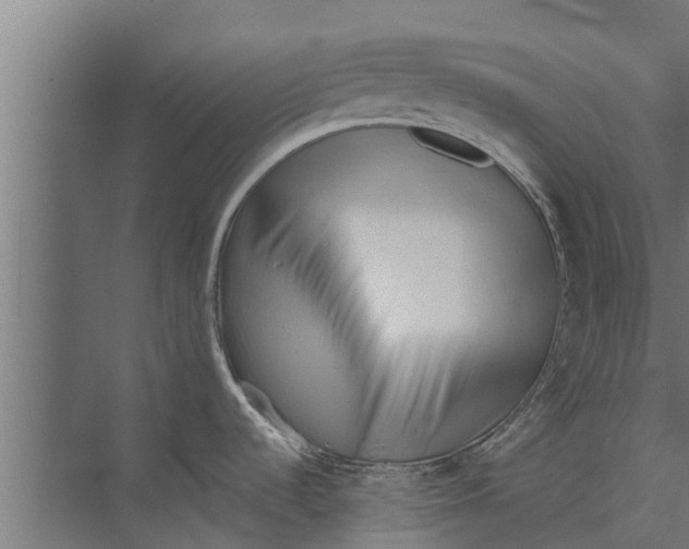 X0000073871536200609071646