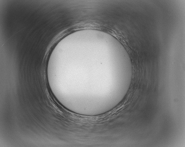 X0000073890004200608110922