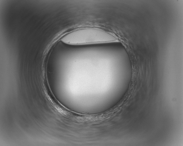 X0000073890005200608110922