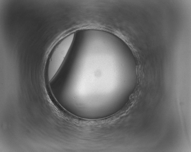 X0000073890007200608110922