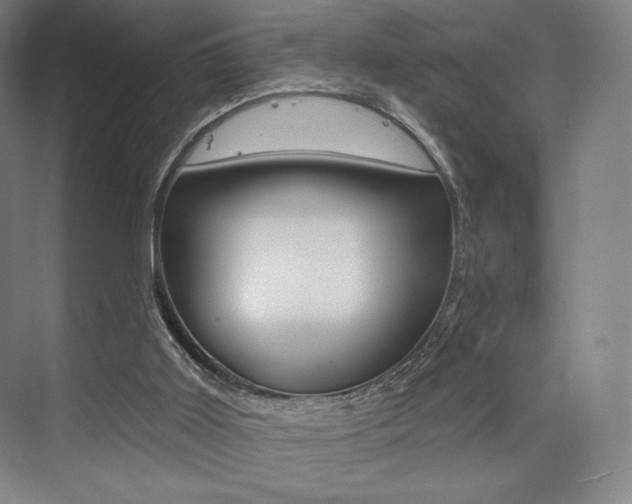 X0000073890011200608110921