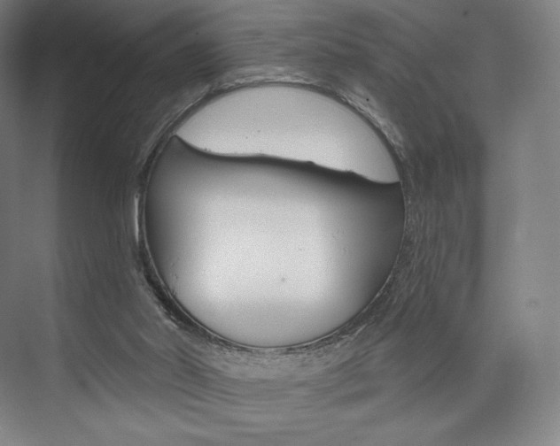 X0000073890014200608110921