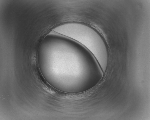 X0000073890017200608110921