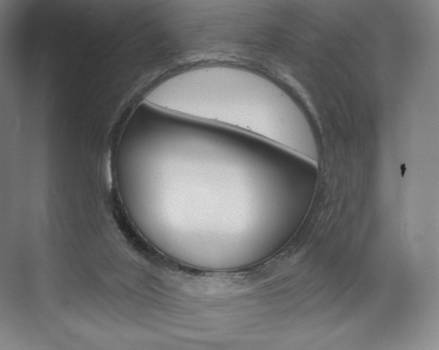 X0000073890020200608110921