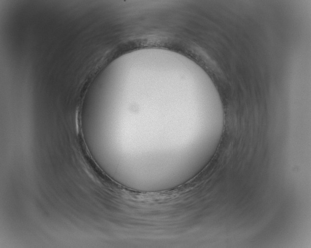X0000073890022200608110921