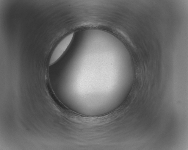 X0000073890023200608110921