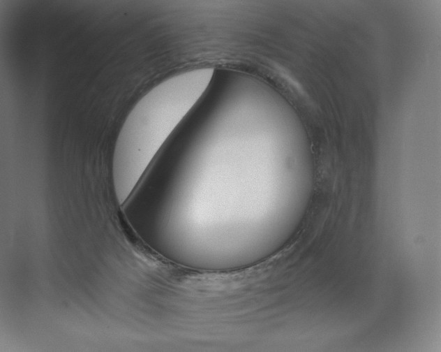 X0000073890025200608110921