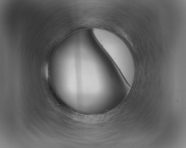 X0000073890027200608110921