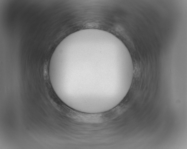 X0000073890032200608110921