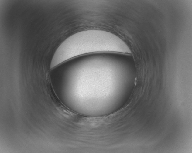 X0000073890033200608110921