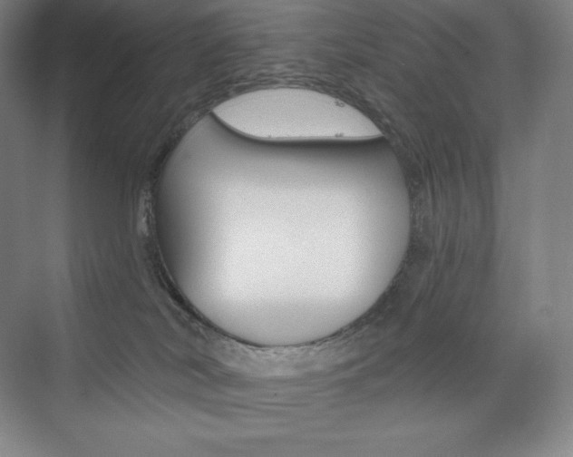 X0000073890038200608110921