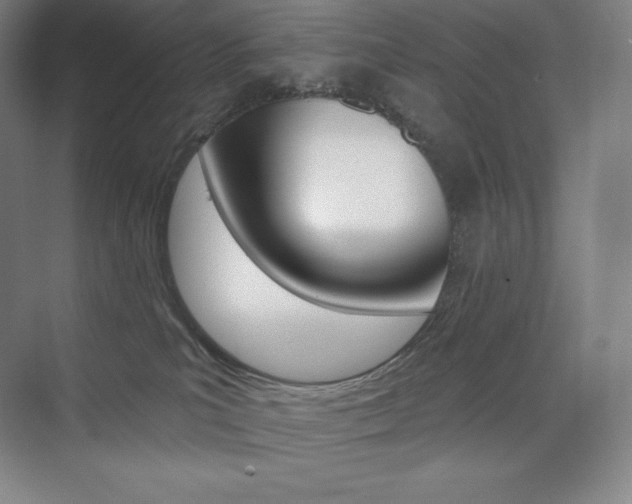 X0000073890039200608110921