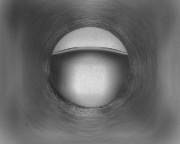 X0000073890044200608110921