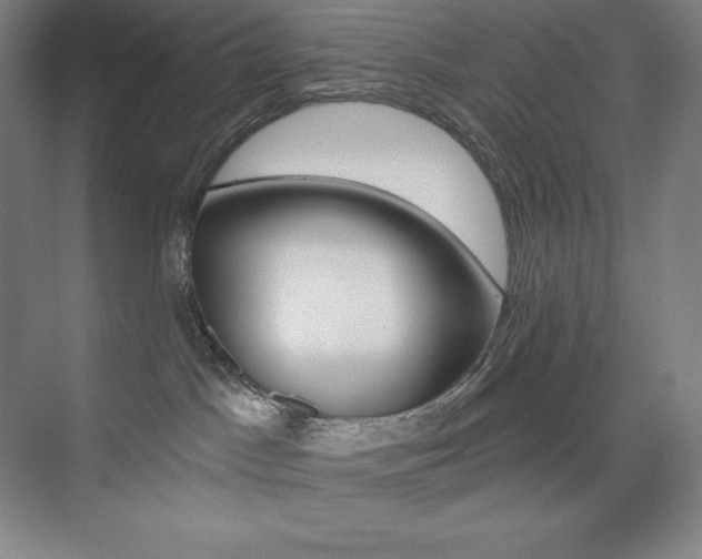 X0000073890045200608110921