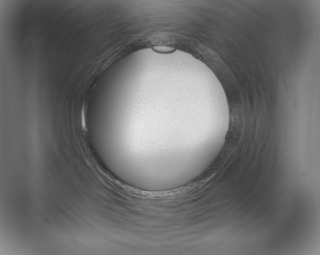 X0000073890046200608110921