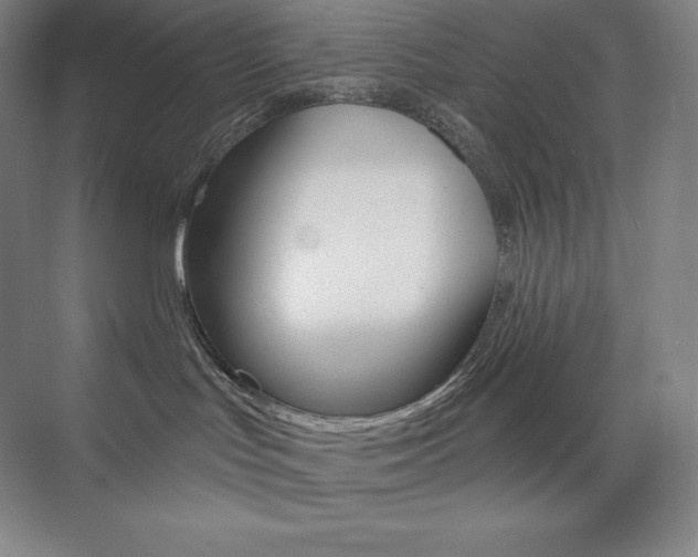 X0000073890047200608110921