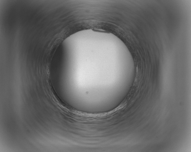 X0000073890048200608110921