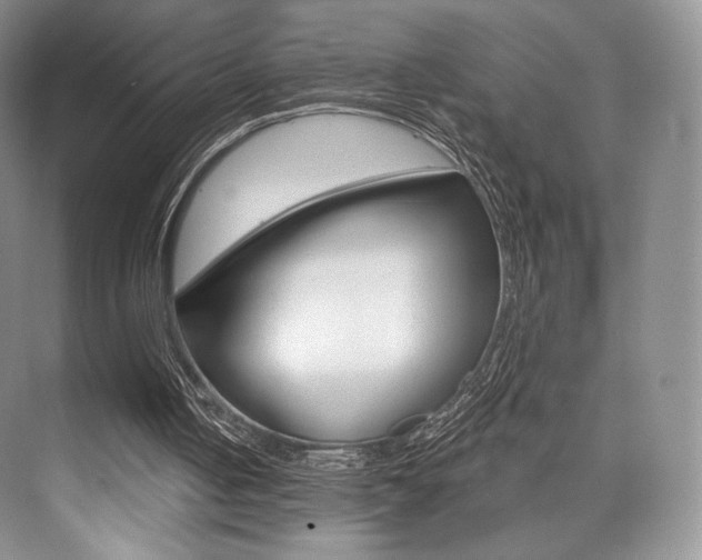 X0000073890050200608110920