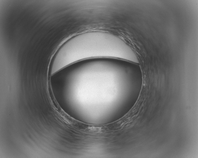 X0000073890052200608110920