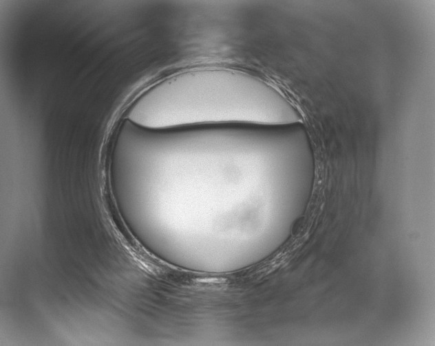 X0000073890053200608110920