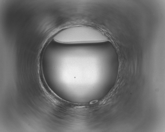 X0000073890054200608110920