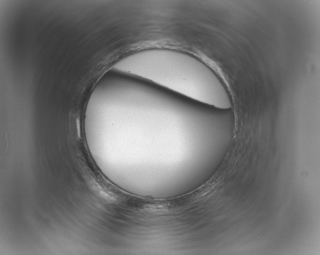 X0000073890061200608110920
