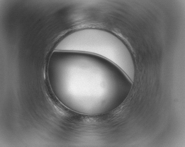 X0000073890062200608110920