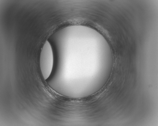 X0000073890065200608110920