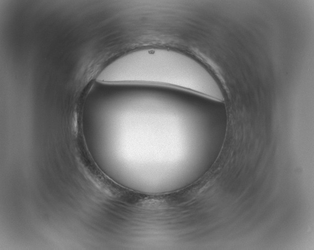 X0000073890067200608110920