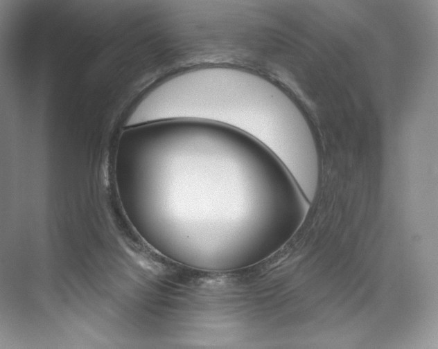 X0000073890068200608110920
