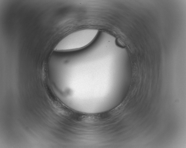 X0000073890074200608110920