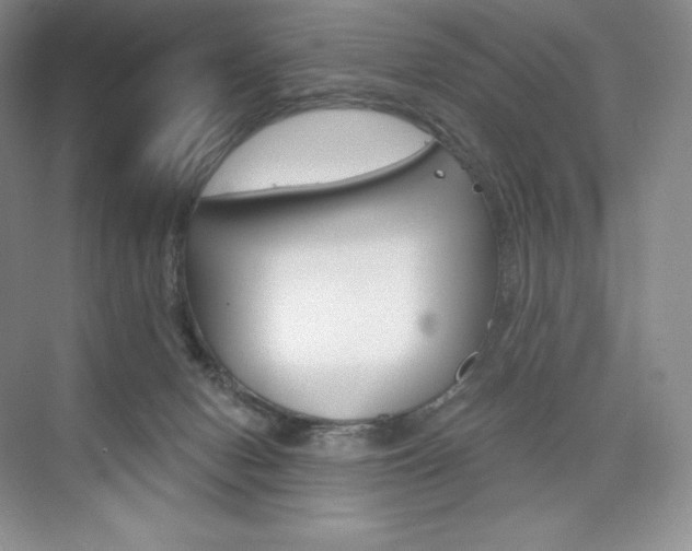 X0000073890078200608110920