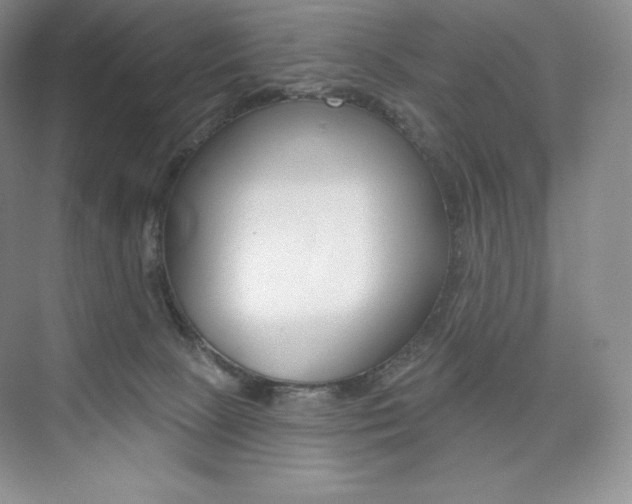 X0000073890081200608110921