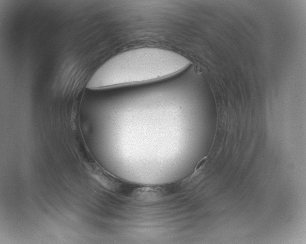 X0000073890082200608110921