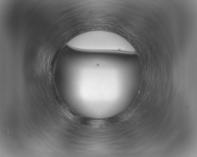 X0000073890085200608110921
