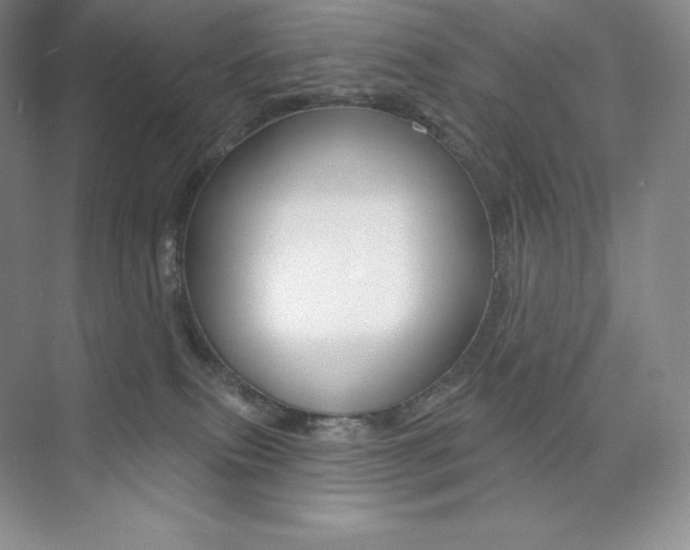 X0000073890087200608110921