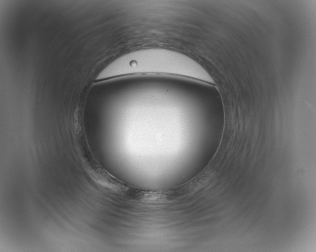 X0000073890088200608110921