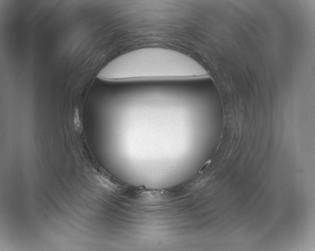 X0000073890089200608110921