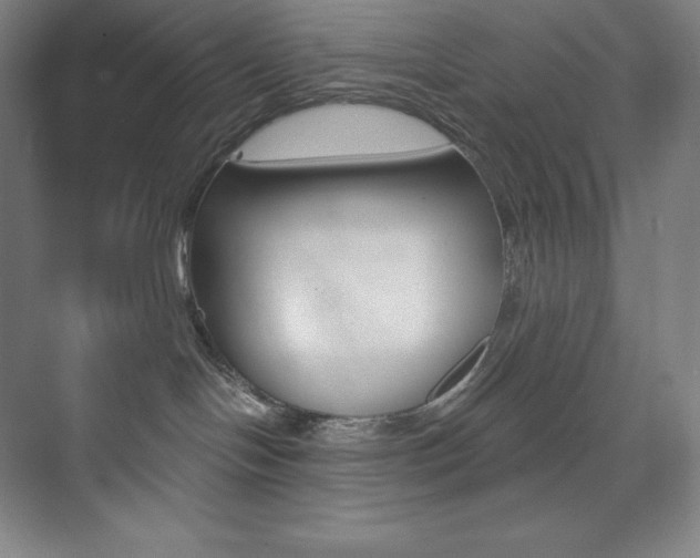 X0000073890094200608110921