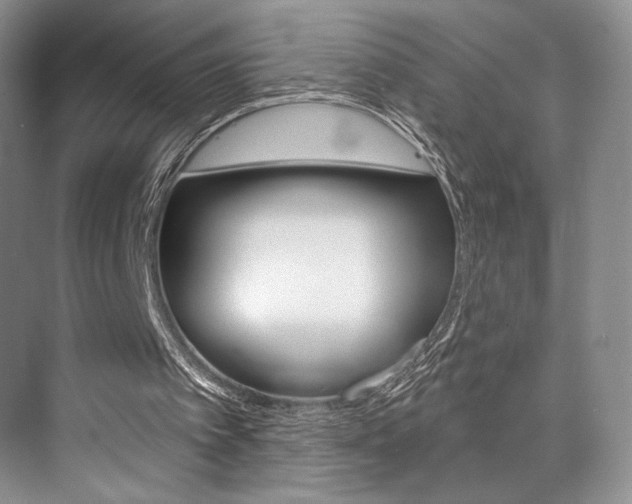 X0000073890097200608110920