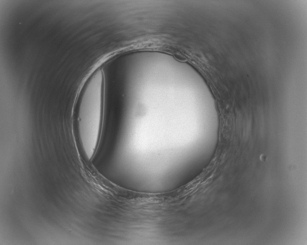 X0000073890100200608110920
