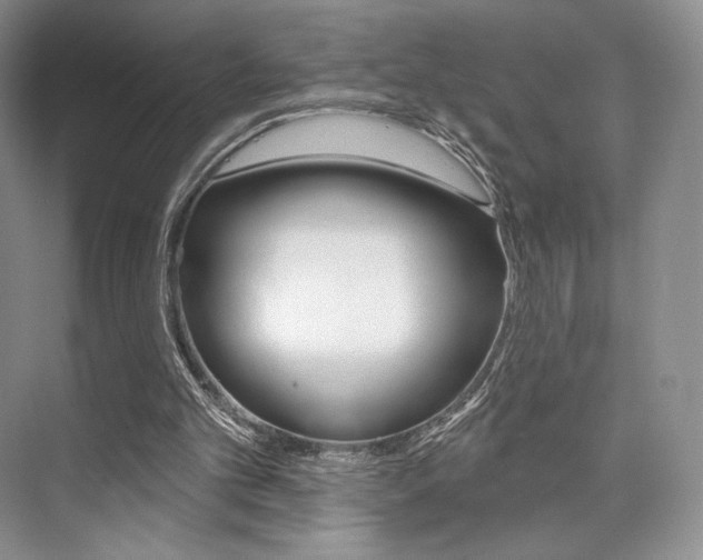 X0000073890101200608110920