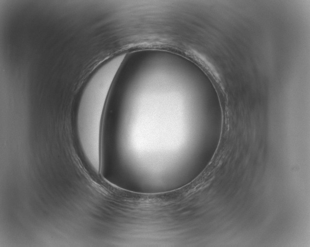 X0000073890105200608110920