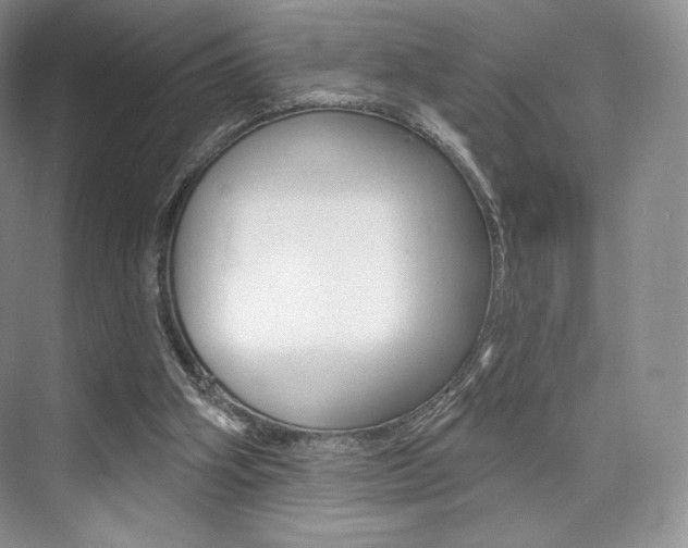 X0000073890106200608110920